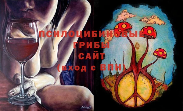 амф Белокуриха