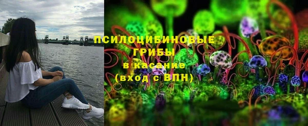 амф Белокуриха