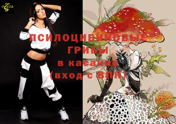 хмурый Конаково