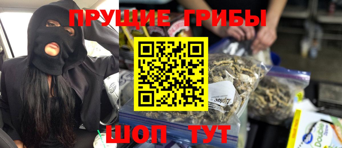 Луховицы  хочу наркоту  Вход с VPN  Галлюциногенные грибы Cubensis 