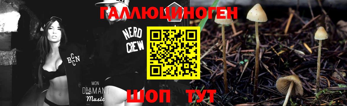 Псилоцибиновые грибы мухоморы Луховицы