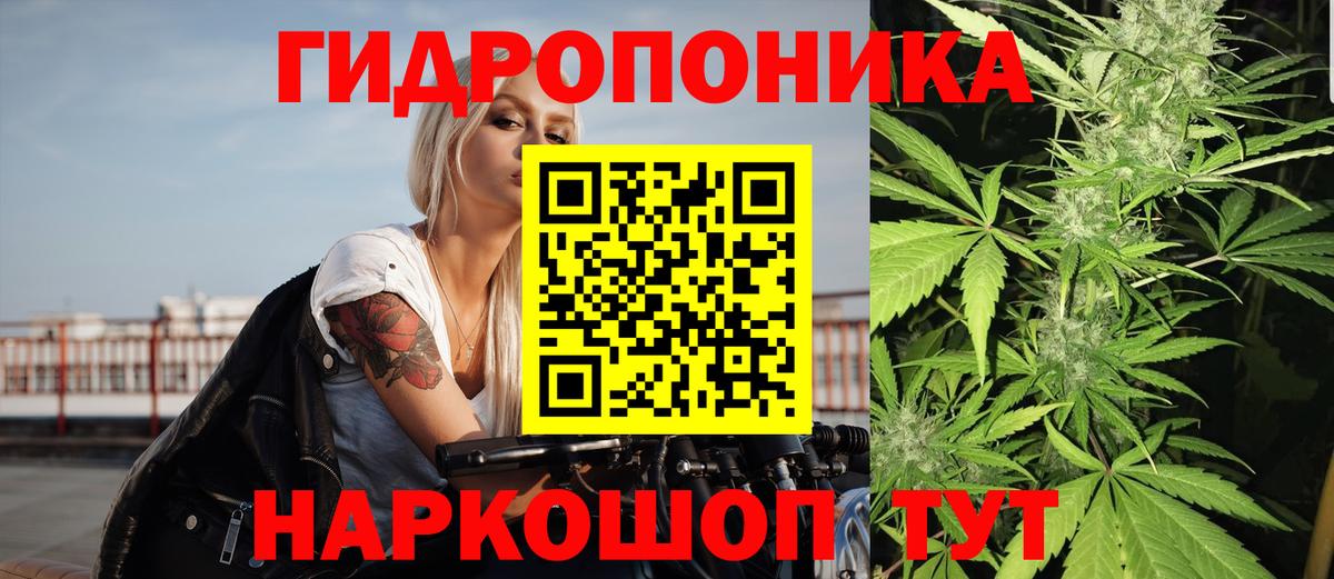 Бошки марихуана индика  Вход с VPN  Луховицы  Каннабис сатива 